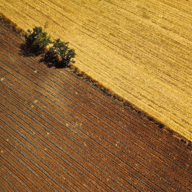 Reforma normativa per facilitar l’extinció dels censos emfitèutics