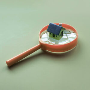 contractació de 100 inspectors