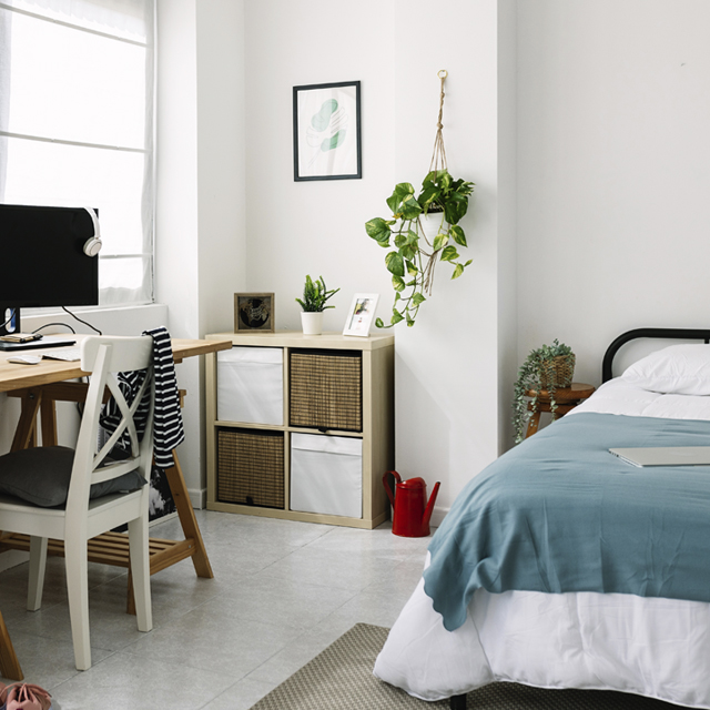 Preus regulats pels lloguers de temporada i el lloguer d’habitacions